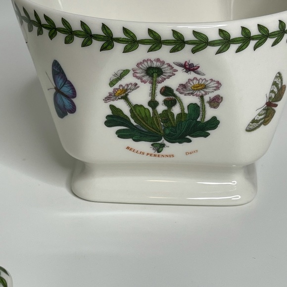 Portmeirion Botanic Garden Square Tea for One - Picture 9 of 11